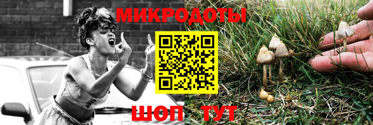 где найти наркотики  Галлюциногенные грибы Psilocybe  Вход с VPN  Пушкино 